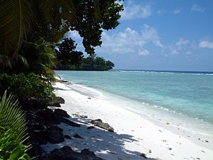 Archivo:On the beach in Diego Garcia (98491095)