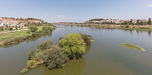 Archivo:Puente de la Autonomía sobre el río Guadiana, Badajoz, España, 2020-07-22, DD 94