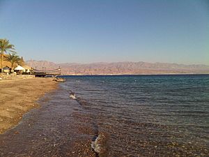 Archivo:Red sea stony beach taba egypt