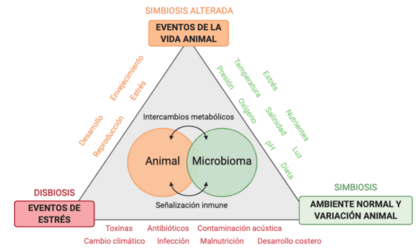 Archivo:Relación huésped animal marino-microbioma