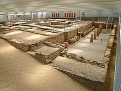 Roman villa of Las Musas, Arellano, Navarre, Spain 29