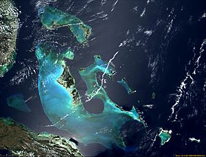 Archivo:Satellite image of Bahamas in April 2000