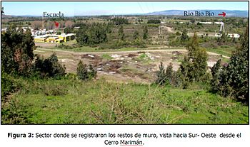 Archivo:Sector donde se encontraron los restos de muros de adobes enterrados, vista al suroeste desde el cerro Mariman de Negrete