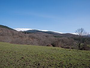 Archivo:Sierra de Elgea desde Marieta 01