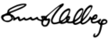 Simon Helberg signature