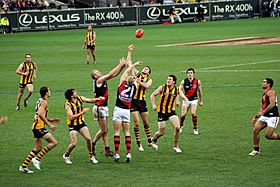 Archivo:Stoppage in an AFL game