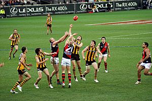 Archivo:Stoppage in an AFL game