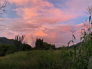 Archivo:Sunset in Tamazula Durango Mexico