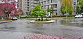 Traffic-Circle-Vancouver-Grid