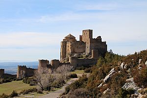 Vista General Castillo Loarre.JPG