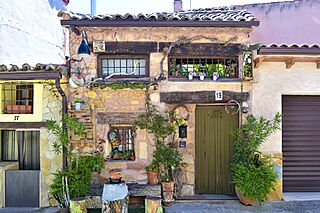 20230416 MURIEL 11-1.jpg