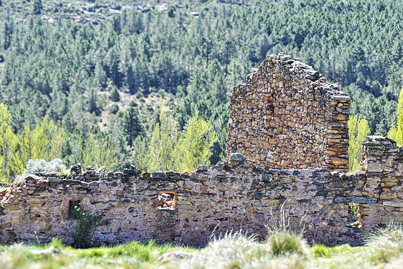 20230416 SACEDONCILLO 24-1
