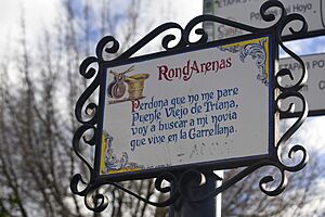 Archivo:20240210 ARENAS DE SAN PEDRO-1