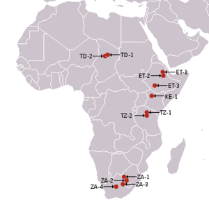 Archivo:Africa, australopitecines discovery sites