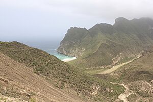 Archivo:Al Fazayeh Beach 4