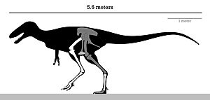 Archivo:Alectrosaurus Skeleton Reconstruction
