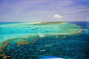 Archivo:Anegada Horseshoe Reef