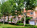 Arroyo de la Encomienda, Barrio de La Vega 08