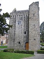Archivo:Ashtown Castle