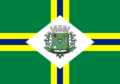 Bandeira de Paulínia