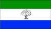 Bandera La Pelada.png