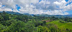 Barrio Pozas, Ciales, Puerto Rico.jpg