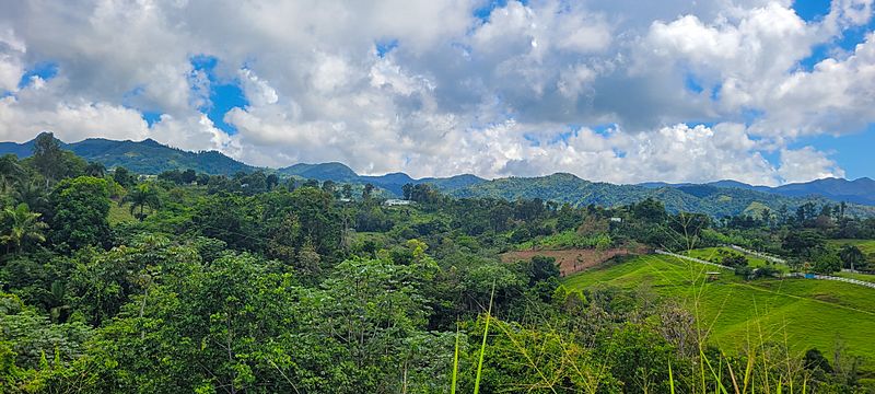 Barrio Pozas, Ciales, Puerto Rico