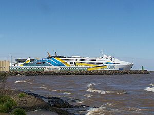 Archivo:Buquebus silvia ana