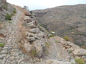 Archivo:Camino Real Arico