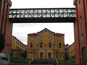 Archivo:Campus de El Milán, Universidad de Oviedo