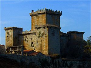 Archivo:Castelo de Pambre