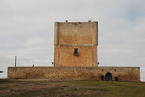 Archivo:Castle of Las Cabañas de Castilla 001