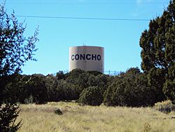 Concho Water Tower.jpg