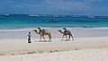 Diani Beach 2013 - panoramio (61)