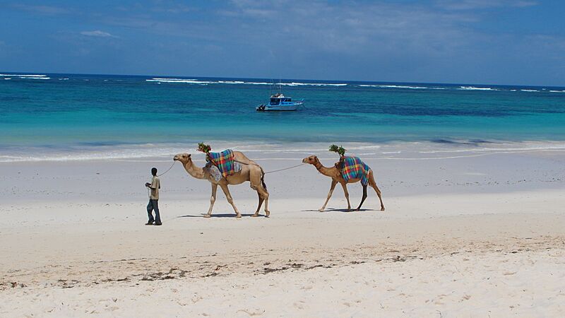 Diani Beach 2013 - panoramio (61)