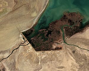 Archivo:Dike Kokaral 2021-05-08 Sentinel-2 L2A True color