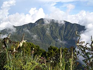 Archivo:Dulang-dulang peak