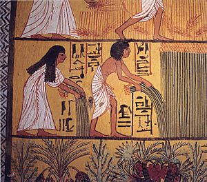 Archivo:Egyptian harvest