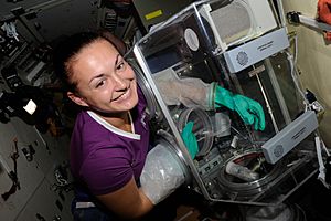 Archivo:Elena Serova works with the Kaskad cell cultivation experiment