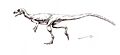 Eoraptor lunensis recon