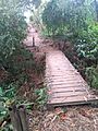 FilandiaQuindioSendero