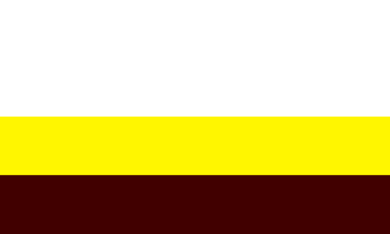 Flag El Porvenir