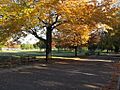 Flushing Meadows Corona Park in Autumn