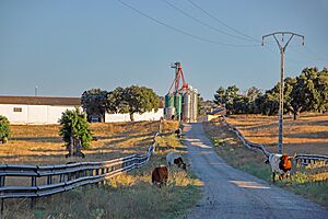 Archivo:Granja en Garcigrande