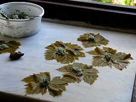 Greek dolmades.jpg