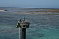 Green-island-national-park