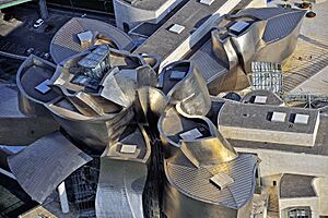 Archivo:Guggenheim Bilbao aerial view