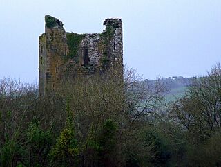 Kilcrea Castle, Farran, Co. Cork - geograph.org.uk - 1243394.jpg