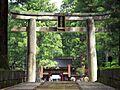 Nikko Toshogu Outer Torii M3032