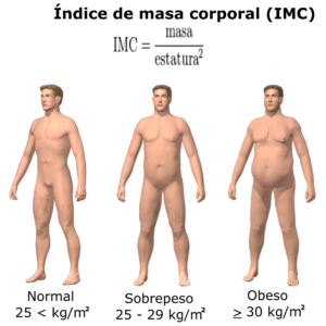 Archivo:Obesity & BMI-es